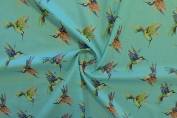 Lady McElroy Arizona Hummingbirds - Aqua