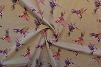 Lady McElroy Arizona Hummingbirds - Natural - Remnant - 2m