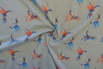 Lady McElroy Arizona Hummingbirds - Pale Grey