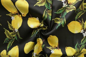 Lady McElroy Bright Side Of Life - Stretch Sateen Drill - Remnant - 2m