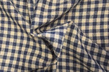 Lady McElroy - Chadwick Gingham - Brushed Cotton