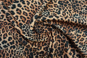 Lady McElroy Cheetah Mynogue - Remnant - 2m