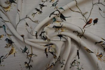 Lady McElroy Dawn Chorus
