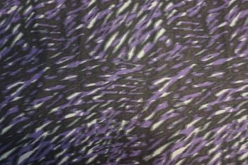 Lady McElroy Marilino - Orchid - Remnant - 1.7m