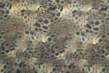 Lady McElroy Panthera Mirage - Viscose Challis Lawn