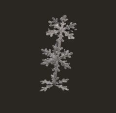 Silver Bell Snowflake Ribbon - 25mm