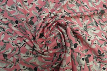 Lady McElroy Songbird Monochrome - Candy - Remnant - 3.1m