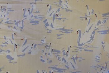Lady McElroy Swan Lake - Remnant - 2m