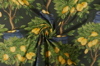 Lady McElroy The Citrus Orchard - Marlie-Care Lawn - Remnant - 3m