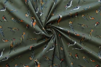 Lady McElroy Woodpecker Walk - Khaki Marlie-Care Lawn - Remnant - 3m